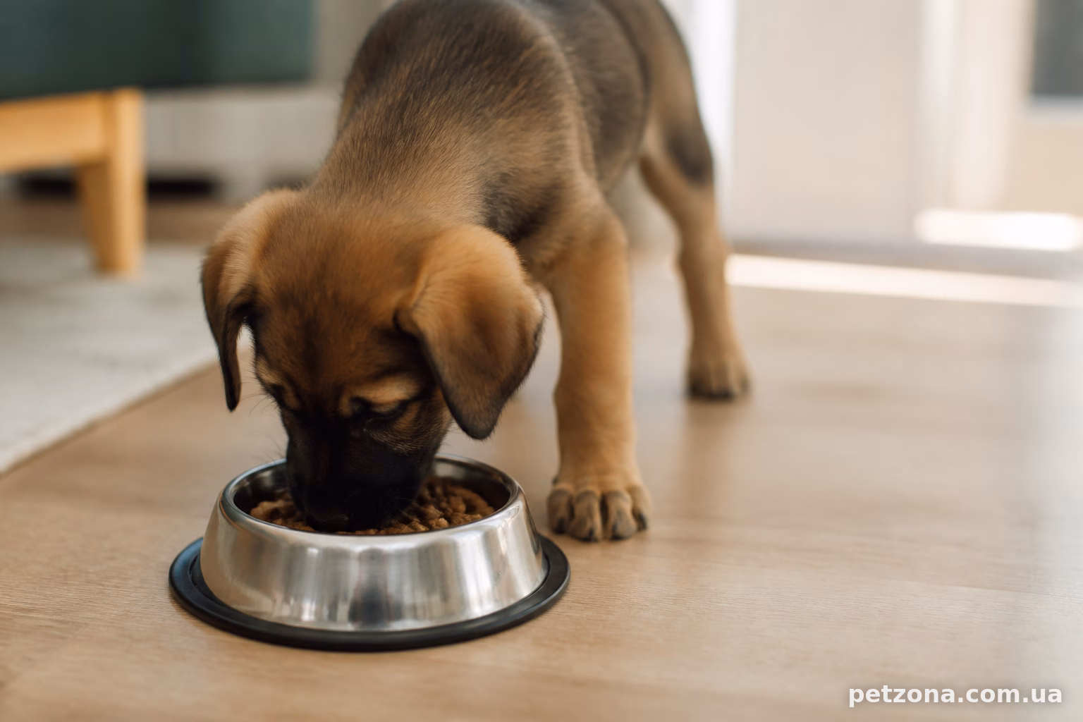 Чого точно не можна