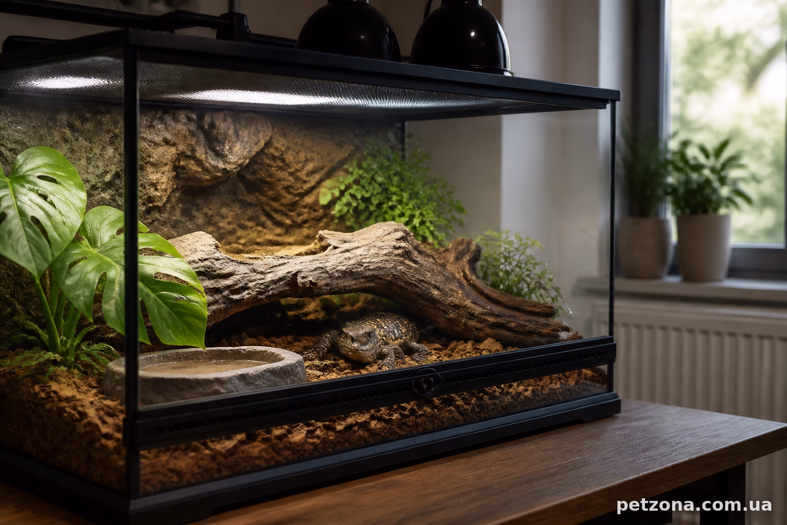 Вологість — те, про що часто забувають