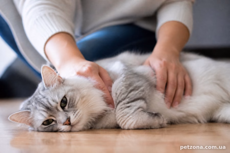 Чи можна скоротити або усунути гуляння